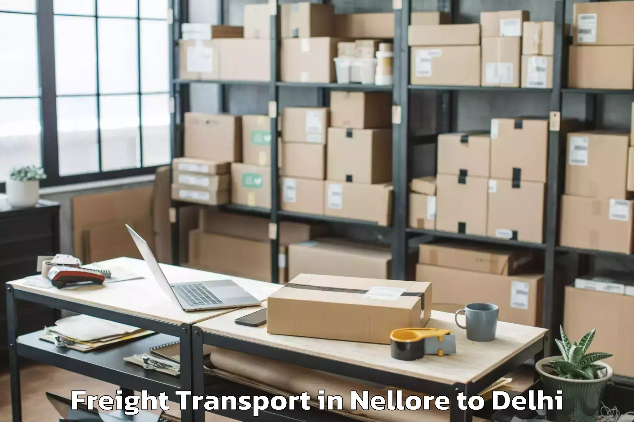 Professional Nellore to Flatted Factory Complex Okhla Freight Transport